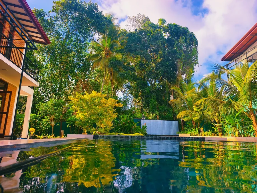 Jardin et arbres reflétés dans la piscine privée — Syndeo Garden, Hikkaduwa