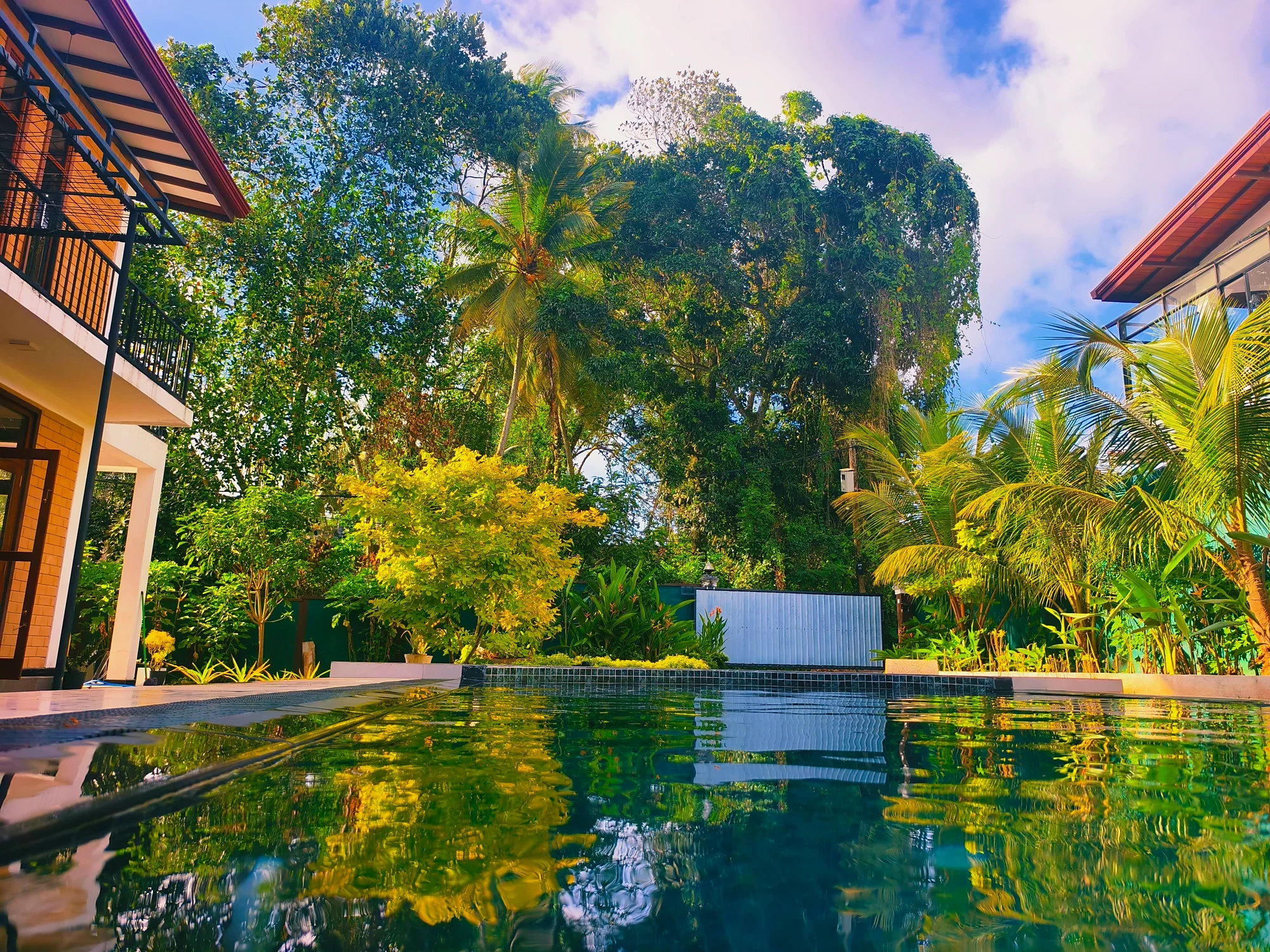 Jardin et arbres reflétés dans la piscine privée — Syndeo Garden, Hikkaduwa