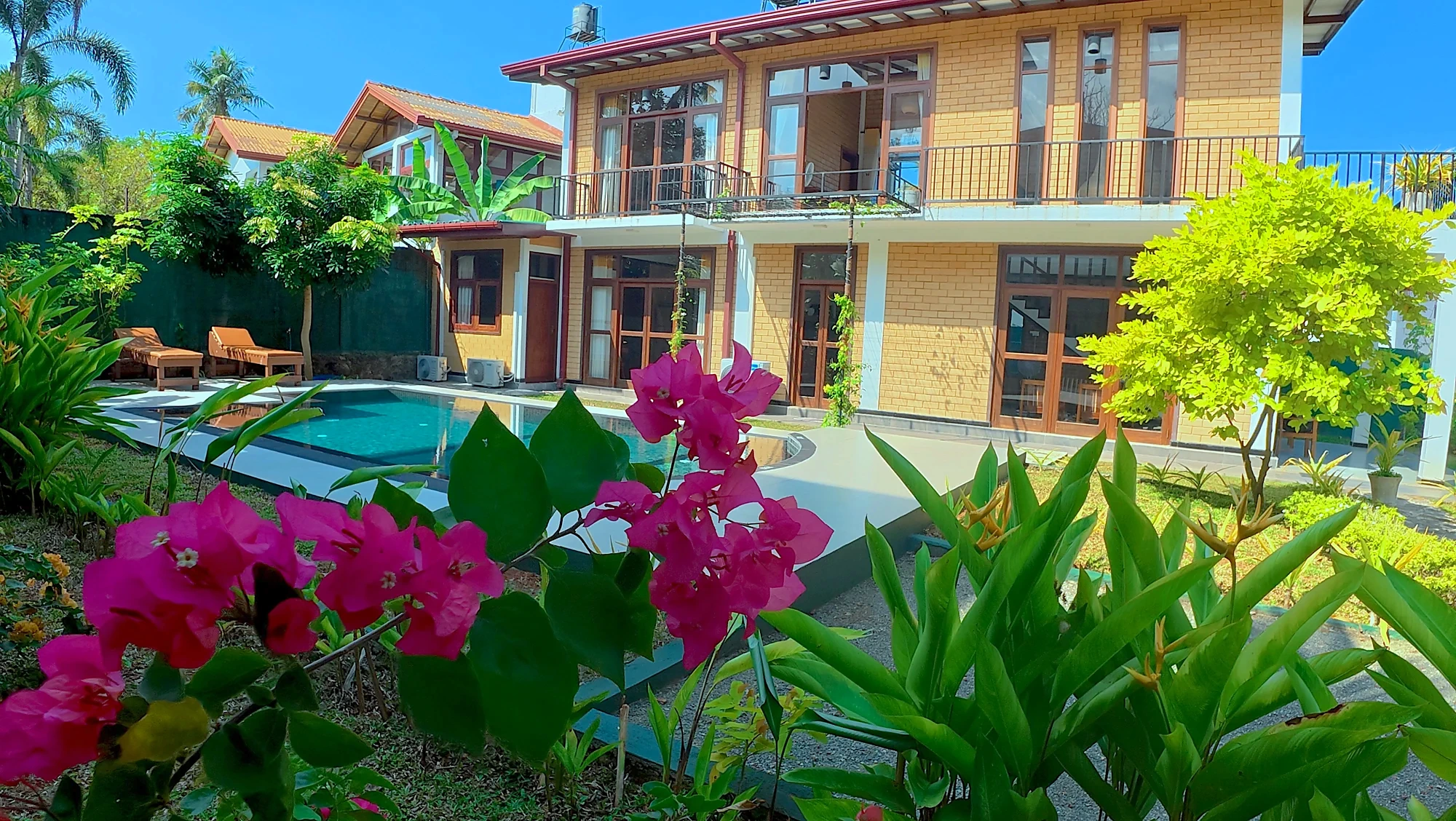 Fleurs tropicales devant la villa et la piscine — Syndeo Garden, Hikkaduwa